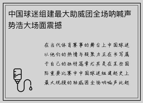 中国球迷组建最大助威团全场呐喊声势浩大场面震撼